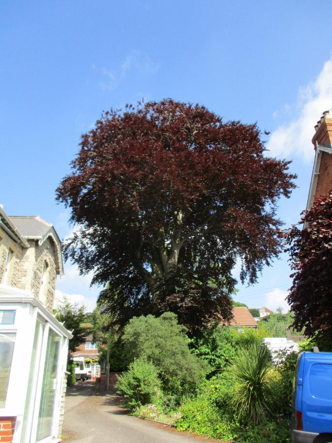 Brookshill House B & B Glastonbury Esterno foto